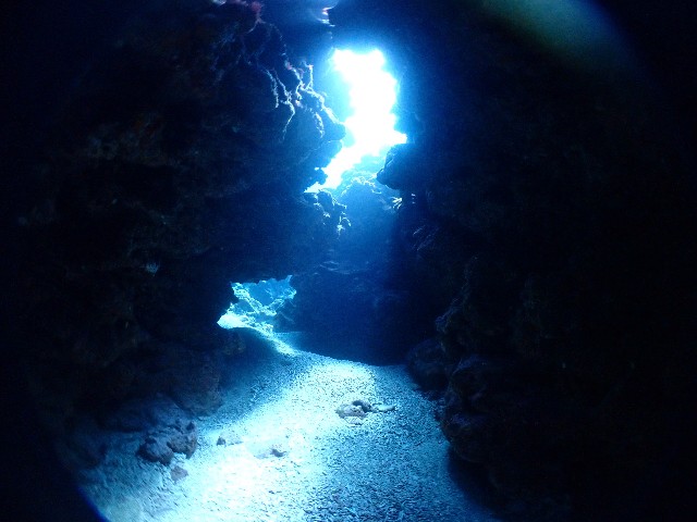 f:id:takedive1988:20201102215813j:image f:id:takedive1988:20201102215813j:image