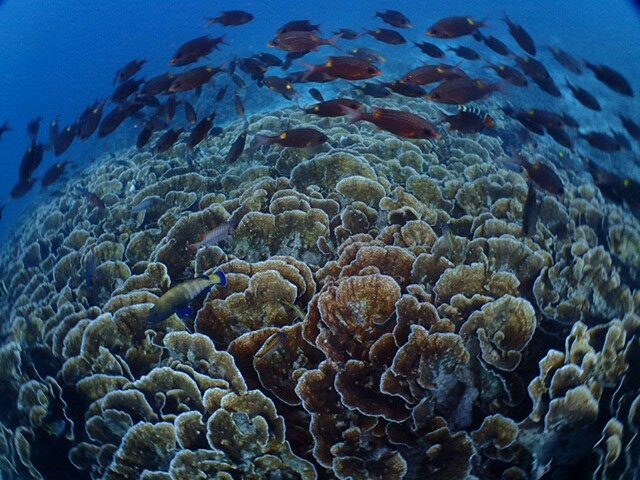 f:id:takedive1988:20201111182256j:image