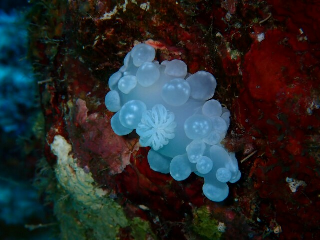 f:id:takedive1988:20210319215156j:image