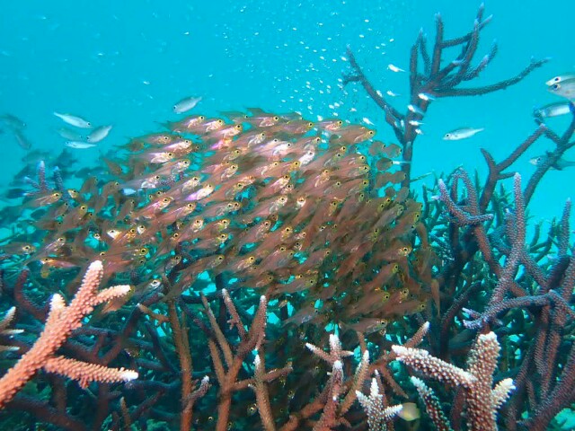 f:id:takedive1988:20210320215837j:image