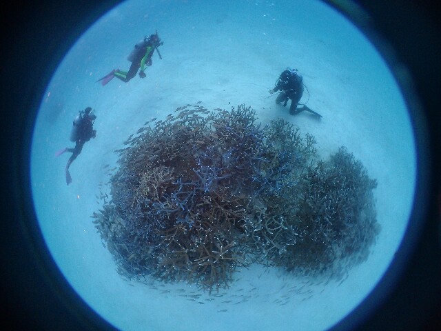 f:id:takedive1988:20210327215007j:image f:id:takedive1988:20210327215007j:image