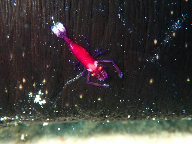 f:id:takedive1988:20210327215154j:image f:id:takedive1988:20210327215154j:image