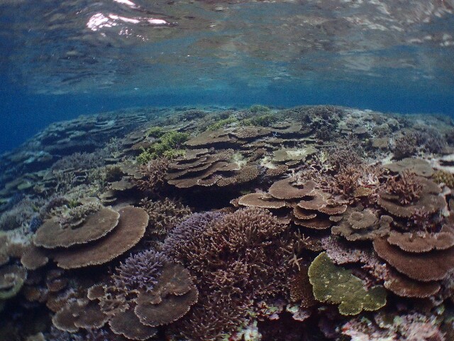 f:id:takedive1988:20210327215344j:image f:id:takedive1988:20210327215344j:image