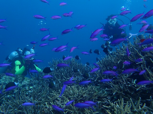 f:id:takedive1988:20210327215417j:image f:id:takedive1988:20210327215417j:image