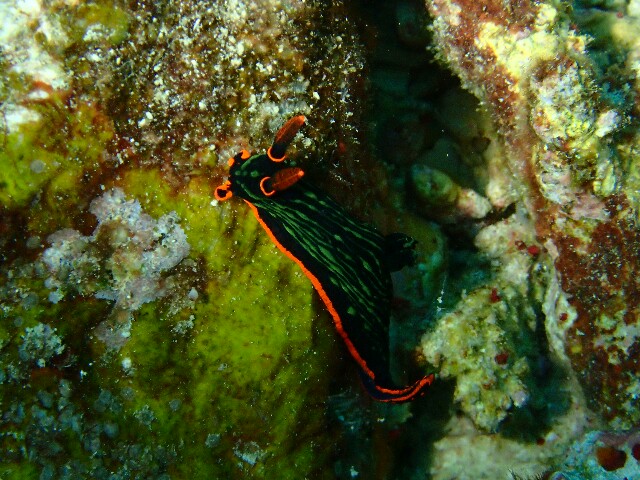 f:id:takedive1988:20210327215512j:image f:id:takedive1988:20210327215512j:image