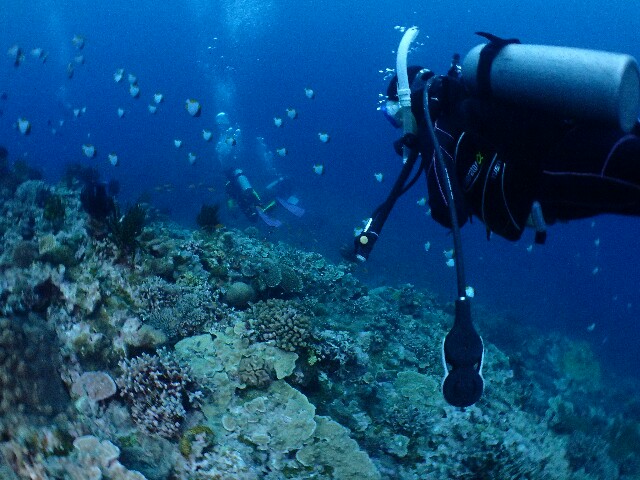 f:id:takedive1988:20210327215620j:image f:id:takedive1988:20210327215620j:image