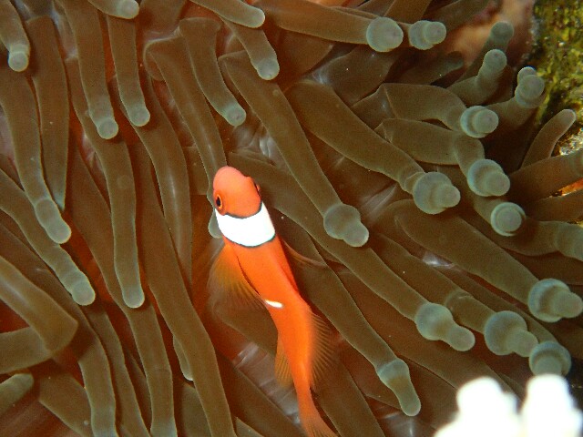 f:id:takedive1988:20210327215709j:image f:id:takedive1988:20210327215709j:image