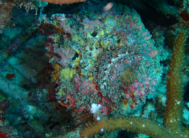 f:id:takedive1988:20210329113153j:image f:id:takedive1988:20210329113153j:image