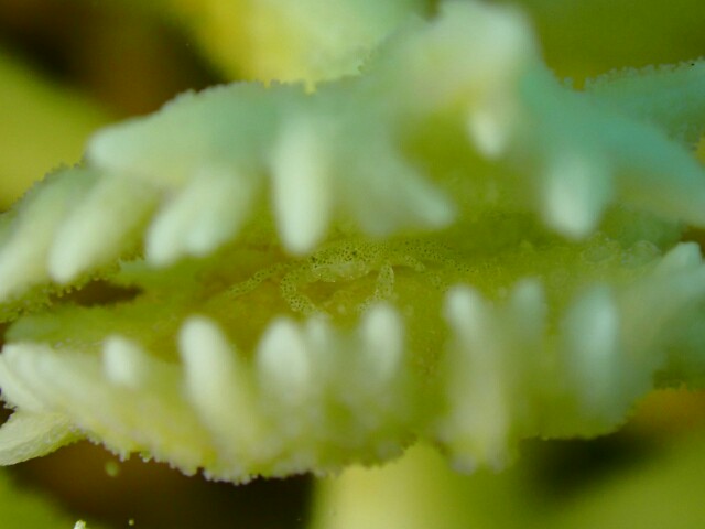 f:id:takedive1988:20210521140716j:image