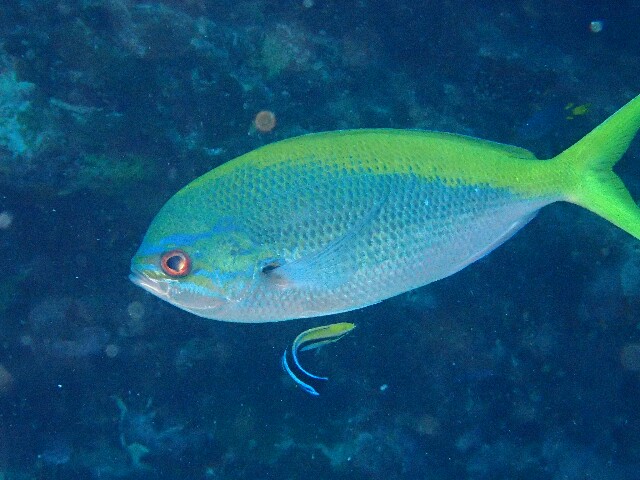 f:id:takedive1988:20210523213010j:image f:id:takedive1988:20210523213010j:image