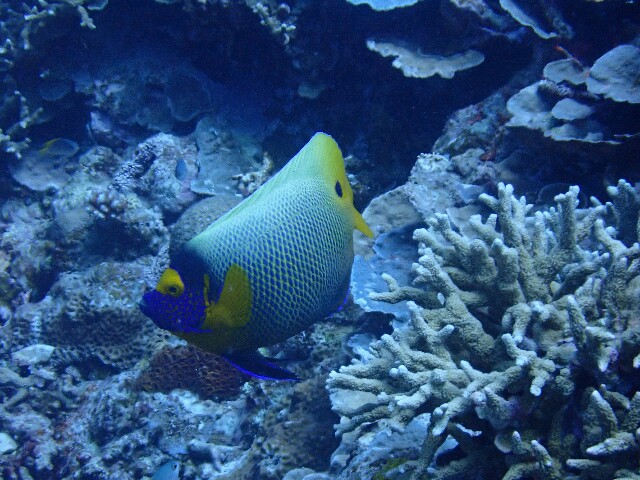 f:id:takedive1988:20210525212034j:image f:id:takedive1988:20210525212034j:image