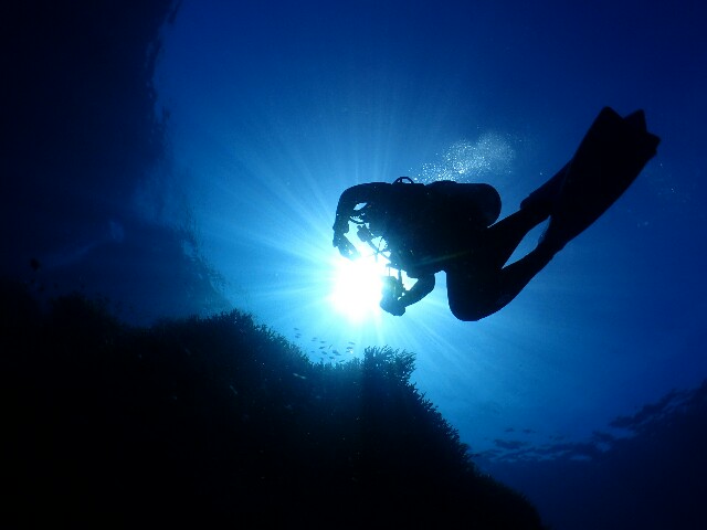f:id:takedive1988:20210619212224j:image