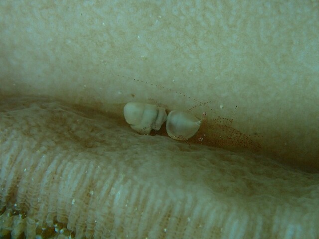 f:id:takedive1988:20210620182226j:image f:id:takedive1988:20210620182226j:image