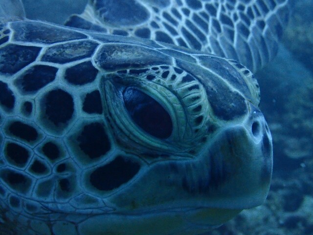 f:id:takedive1988:20210620182734j:image f:id:takedive1988:20210620182734j:image