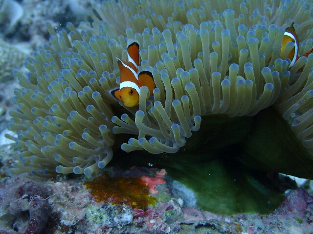 f:id:takedive1988:20210620182829j:image f:id:takedive1988:20210620182829j:image