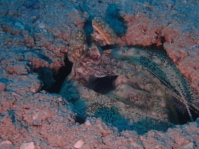 f:id:takedive1988:20210620182849j:image f:id:takedive1988:20210620182849j:image