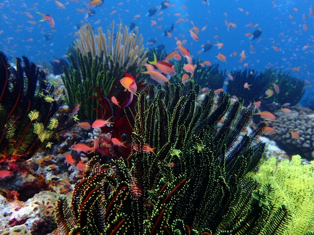 f:id:takedive1988:20210628211143j:image