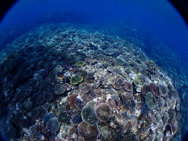 f:id:takedive1988:20210708214529j:image