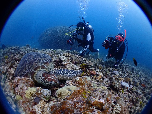 f:id:takedive1988:20210708214647j:image