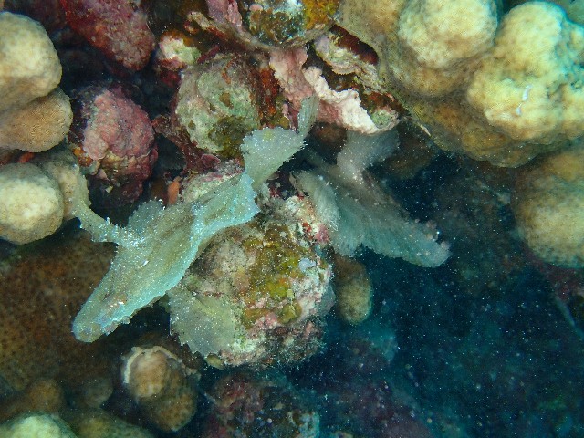 f:id:takedive1988:20210708214708j:image