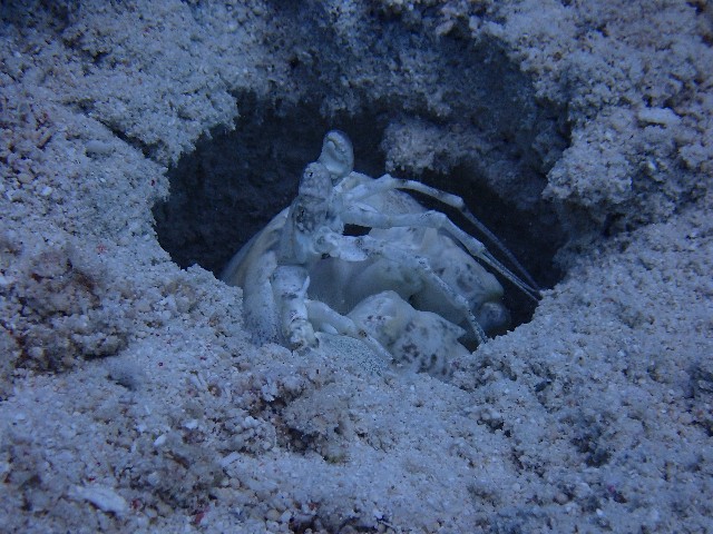 f:id:takedive1988:20210708214833j:image