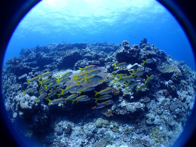 f:id:takedive1988:20210814223037j:image