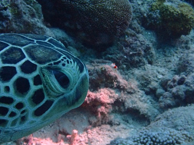 f:id:takedive1988:20210831211232j:image