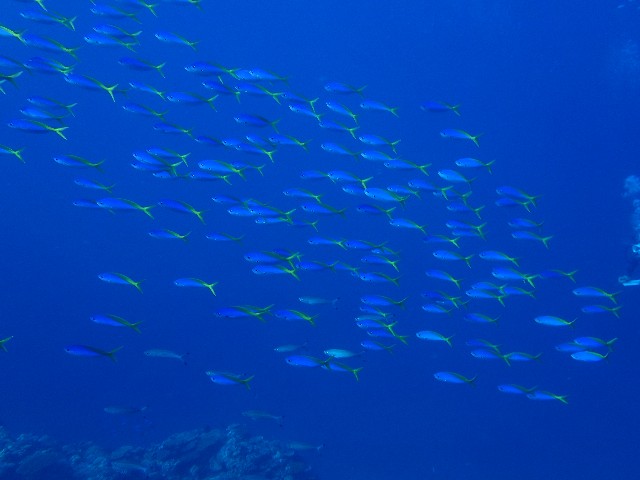 f:id:takedive1988:20210904213948j:image