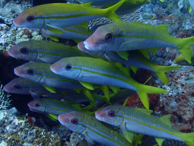 f:id:takedive1988:20210904214025j:image