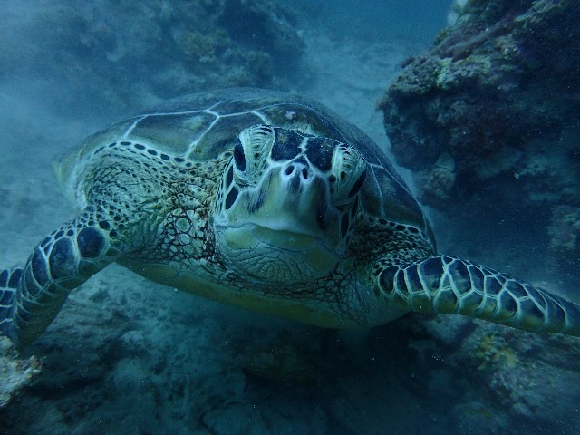 f:id:takedive1988:20210904214237j:image