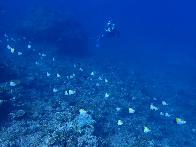 f:id:takedive1988:20210917215656j:image