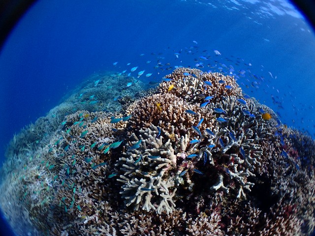f:id:takedive1988:20210921212213j:image