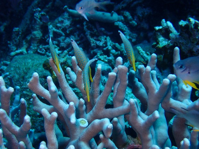 f:id:takedive1988:20210921212230j:image