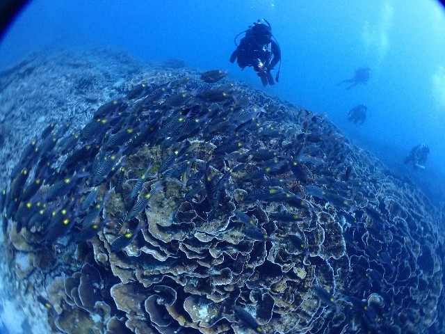 f:id:takedive1988:20210921212322j:image