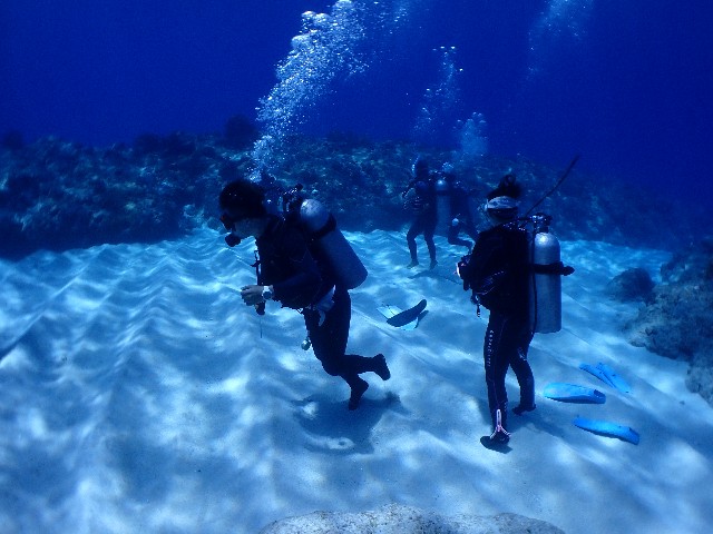 f:id:takedive1988:20210921212349j:image