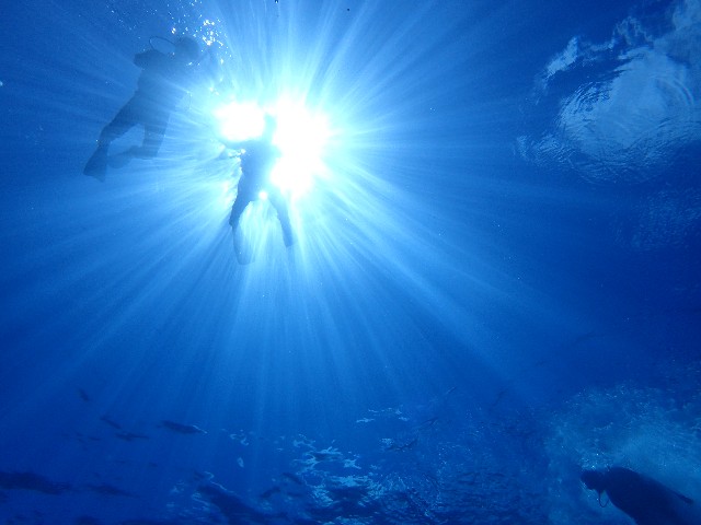 f:id:takedive1988:20210921212509j:image