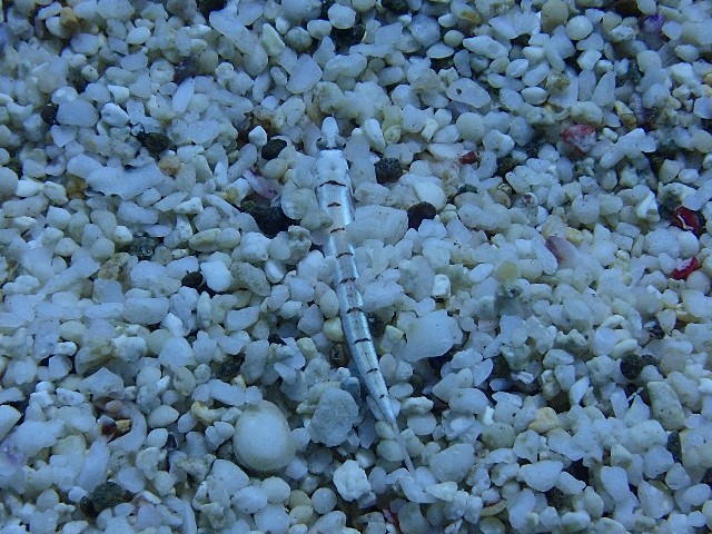 f:id:takedive1988:20210925083733j:image