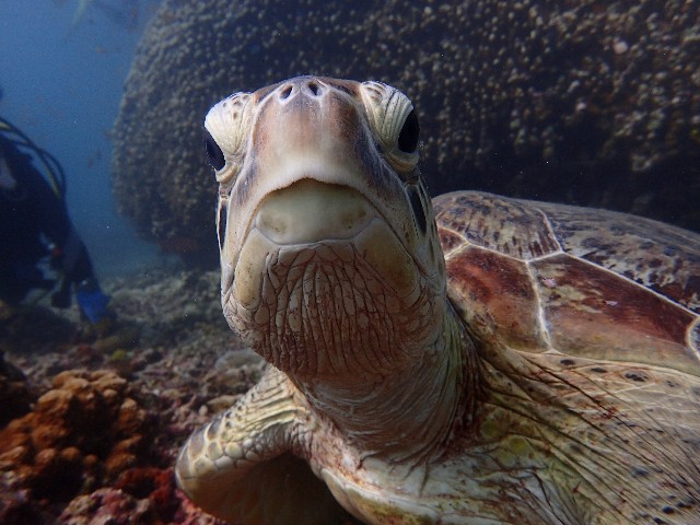 f:id:takedive1988:20211005131644j:image