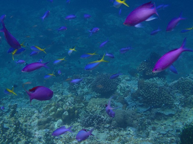 f:id:takedive1988:20211005214345j:image