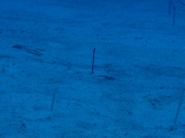 f:id:takedive1988:20211010220900j:image