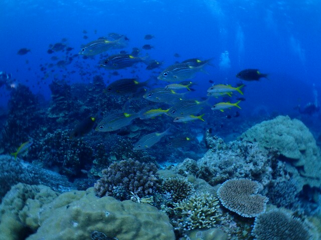 f:id:takedive1988:20211010221036j:image