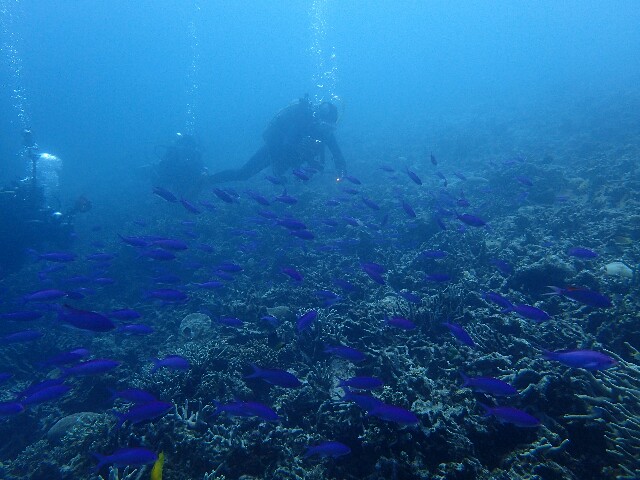 f:id:takedive1988:20211010221108j:image