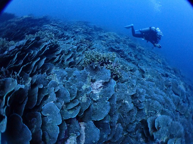 f:id:takedive1988:20211021175158j:image