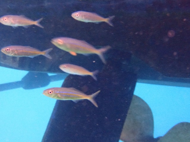 f:id:takedive1988:20211021213954j:image
