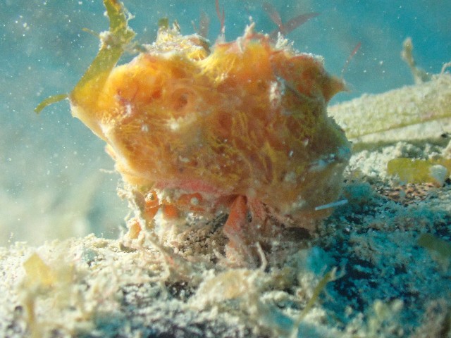 f:id:takedive1988:20211024210043j:image f:id:takedive1988:20211024210043j:image