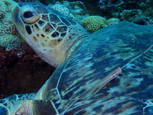 f:id:takedive1988:20211024210342j:image f:id:takedive1988:20211024210342j:image