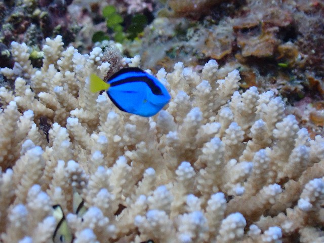 f:id:takedive1988:20211101224725j:image