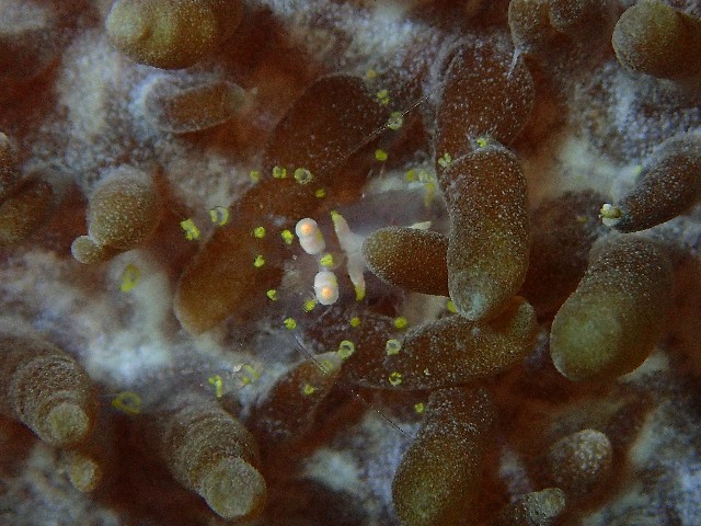 f:id:takedive1988:20211105205217j:image