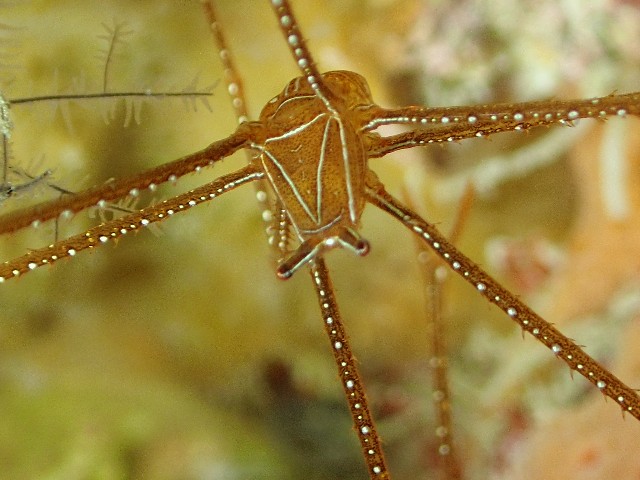 f:id:takedive1988:20211105205420j:image