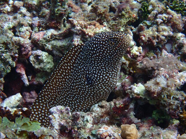 f:id:takedive1988:20211121213657j:image f:id:takedive1988:20211121213657j:image